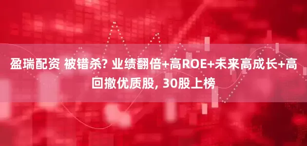 盈瑞配资 被错杀? 业绩翻倍+高ROE+未来高成长+高回撤优质股, 30股上榜